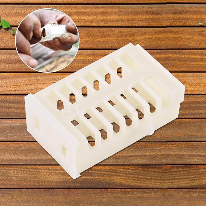 queenbee Queen Bee Cage | MULTI-SWEET GROUP Manufacturer