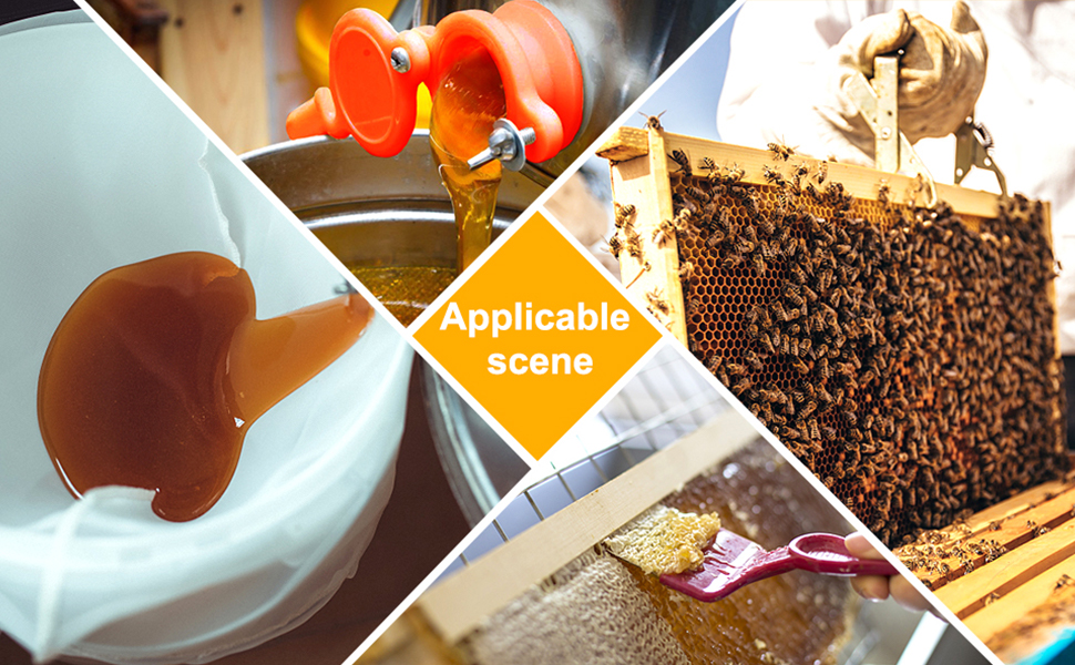 honey beginner beekeeper kit